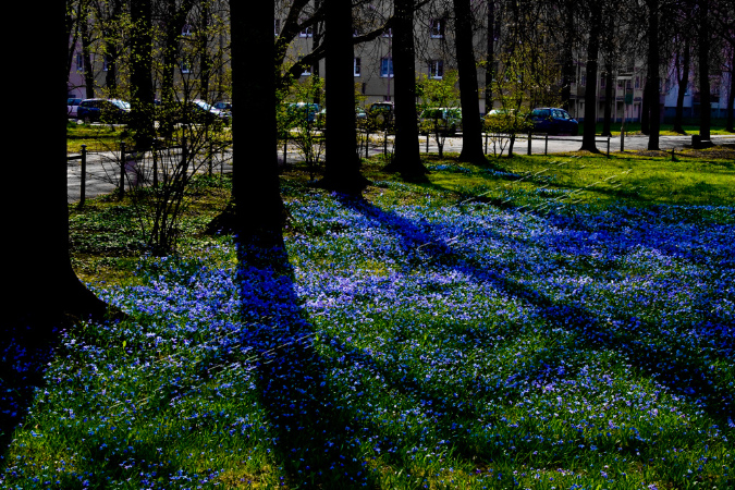Natur%20(16)