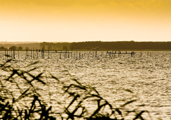 Usedom%20(7)