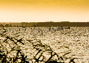 Usedom%20(7)
